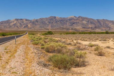 Amerika vahşi doğası, boş bir eyalet yolu, Nevada, Usa.