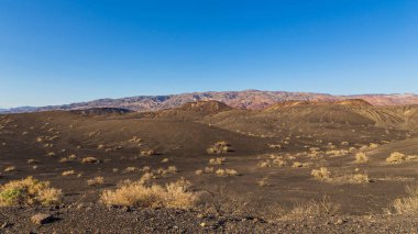 Ölüm Vadisi Ulusal Parkı, Büyük Çam, Kaliforniya, Usa.