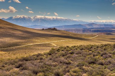 Mono Gölü çevresindeki alanlar, kaya oluşumları ve bitki örtüsü, California, Usa.