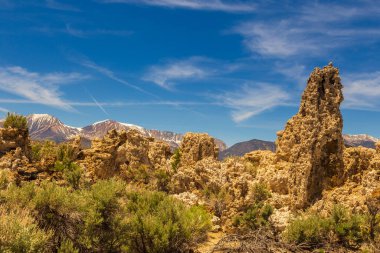 Mono Gölü çevresindeki alanlar, kaya oluşumları ve bitki örtüsü, California, Usa.
