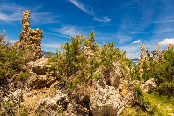 Lago Mono, formaciones rocosas y vegetación, California, EE.UU. . — Foto de Stock