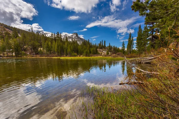 Sierra Nevada Dağında Tioga Gölü, arkada Dane Dağı. Yosemite Ulusal Parkı, Kaliforniya, Usa.