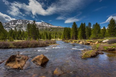 Dana Fork Tuolumne River, mountain river in the Sierra Nevada. Yosemite National Park, California, USA. clipart
