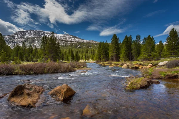 Dana Fork Tuolumne River Ορεινό Ποτάμι Στη Σιέρα Νεβάδα Εθνικό — Φωτογραφία Αρχείου