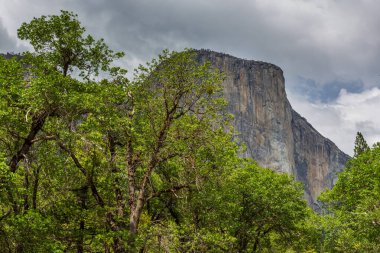 El Capitan manzarası, Yosemite Ulusal Parkı 'nda dikey kaya oluşumu Yosemite Vadisi, Kaliforniya, Usa.