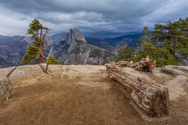Half Dome ve Yosemite Vadisi manzarası. Önünde kuru odun var. Sierra Nevada Dağı, Yosemite Ulusal Parkı, Kaliforniya, Usa.
