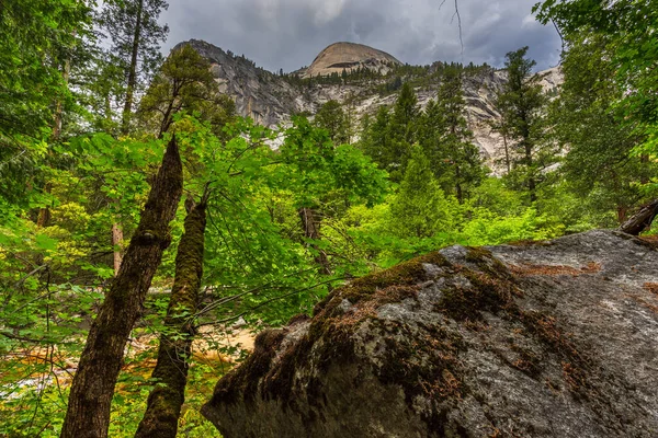 Vista Serra Nevada Montanha Floresta Parque Nacional Yosemite Califórnia Eua — Fotografia de Stock