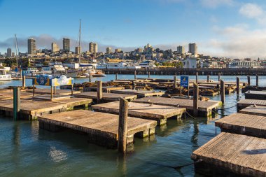San Francisco, Kaliforniya, ABD - 07 Haziran 2015: Morslar marinadaki ahşap iskelelerde Yat marinası, Balıkçı İskelesi, Downtown.