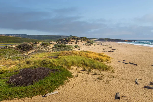 Pacific Ocean coast. West coast of California, USA.