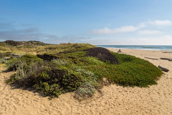 Costa Del Océano Pacífico Costa Oeste California — Foto de Stock