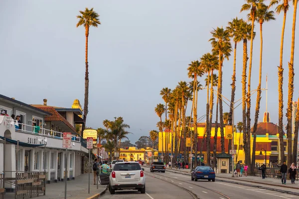 Santa Cruz Kalifornien Usa Juni 2015 Blick Auf Eine Palmenallee — Stockfoto