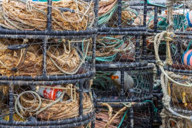 Balık ağlı büyük konteynırlar, Monterey, California, ABD.