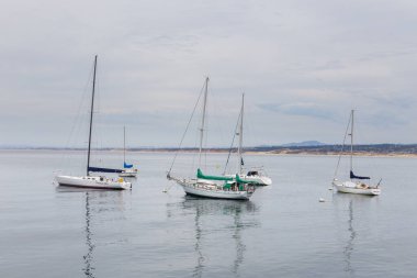 Monterey, Kaliforniya, ABD - 09 Haziran 2015: Monterey Yat Limanı manzarası. Limanda demirli özel yatlar var. Pasifik Okyanusu Kıyısı.