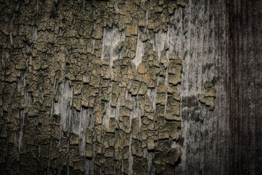 Eski ahşap plakalar soyulması boya ile arka plan severim. Tonda