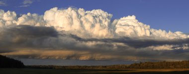 Cumulus bulutları orman ve alan üzerinde beyaz. Panorama. Tonda