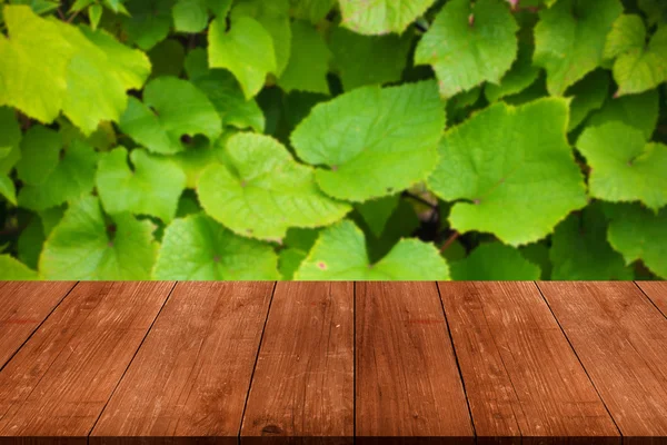 View of the wall of green grape leaves over old light wooden tab — Stock Photo, Image