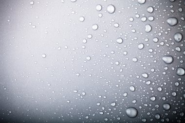 Bir renk arka plan üzerinde Su damlacıkları. Gri. Tonda