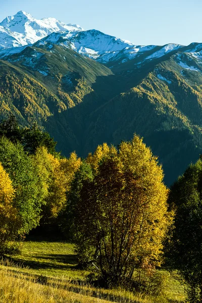 スヴァネティの美しい秋山の風景。グルジア。トーン — ストック写真