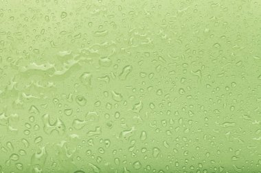 Bir renk arka plan üzerinde Su damlacıkları. Yeşil. Seçici odak. Sh