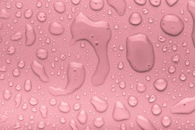 bir renk arka plan üzerinde Su damlacıkları. pembe. sığ derinliği bes