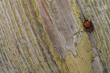 Arka plan soyulması boya ile eski ahşap plakalar tarihlerde