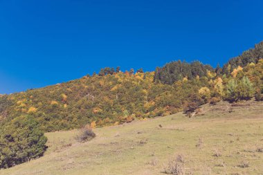 Svaneti içinde güzel sonbahar dağ manzarası. Gürcistan. Tonda