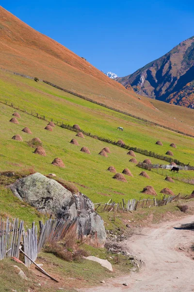 Wunderschöne herbstliche berglandschaft in svaneti. Georgien. gemildert — Stockfoto