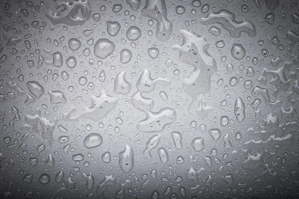 Gotas de água em um fundo a cores. Cinza. Foco seletivo. Sha... — Fotografia de Stock