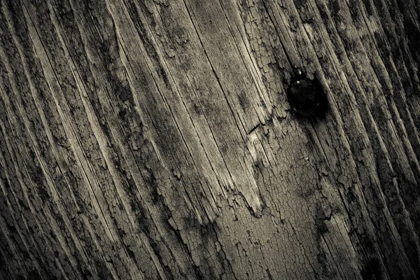 Oude houten planken met peeling verf als achtergrond. Toned — Stockfoto