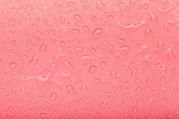Wassertropfen auf einem farbigen Hintergrund. rot. Selektiver Fokus. shal — Stockfoto