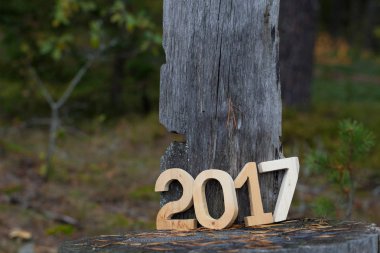 Ormanın içinde rakamlar 2017. Noel Tema