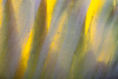 Sarı ve gri mousse kek