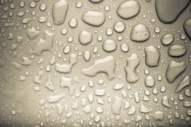 Bir renk arka plan üzerinde Su damlacıkları. Gri. Tonda