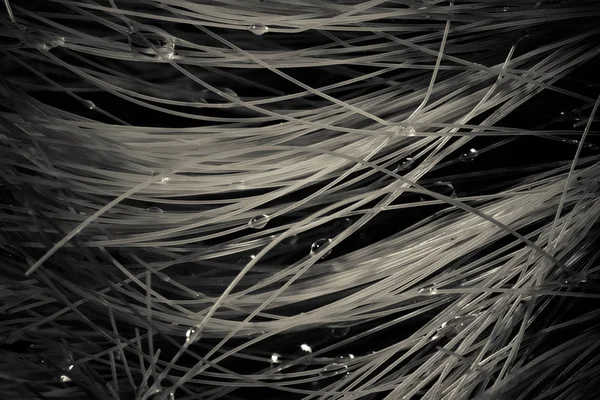 Brosse à poils pour vêtements avec gouttes d'eau. Coloré. Peu profonde — Photo