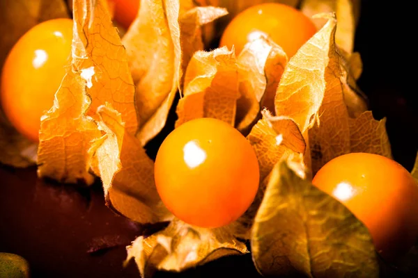 Baies de physalis comme un décor sur gâteau au chocolat fait maison. Sel — Photo