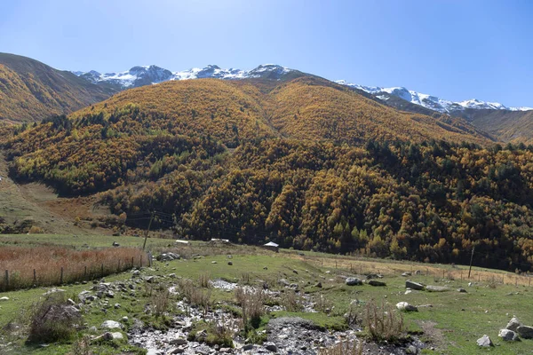 Όμορφο φθινοπωρινό τοπίο βουνού στο Svaneti. Γεωργία — Φωτογραφία Αρχείου