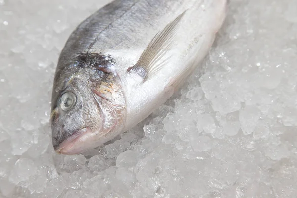 Fresh fish on a surface of pile of ice in fish restaurant. Selec — Stock Photo, Image