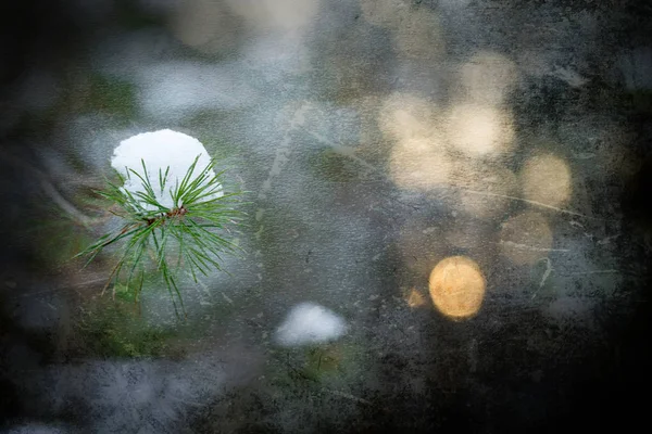 Inverno nella foresta. Fantasia elaborazione artistica di foto per un col — Foto Stock