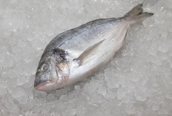 魚料理のレストランでの氷の山の表面に新鮮な魚。セレク — ストック写真