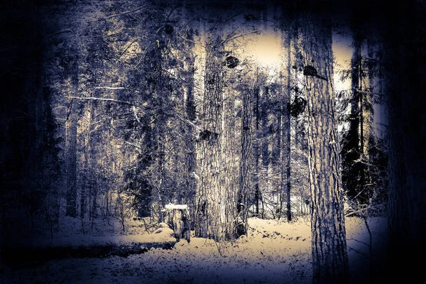 Winter in the forest. Fantasy art processing of photos for a col — Stock Photo, Image