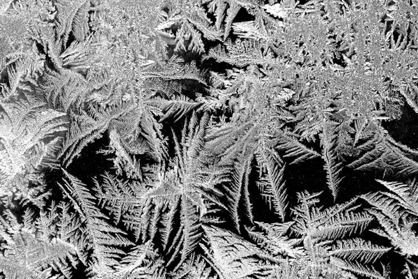 Vacker natur mönster på frostat glas. Fantasikonst processin — Stockfoto