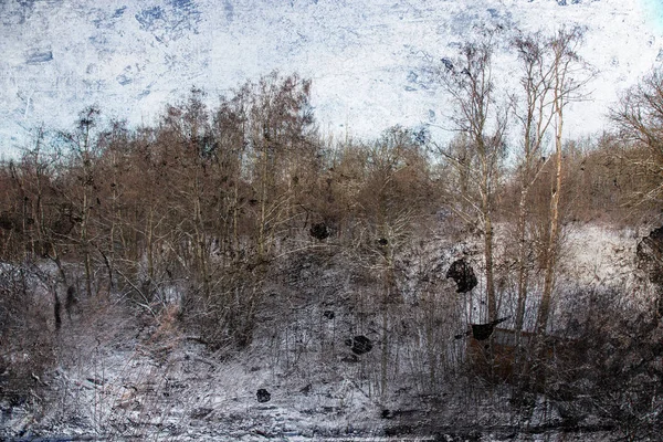 Зима в лесу. Фантастическая обработка фотографий для кола — стоковое фото