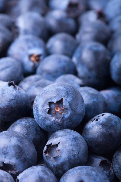 Pile of fresh big blueberry. Selective focus. Shallow depth of f — Stock Photo, Image