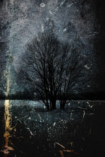 Winter im Wald. Fantasy Art Bearbeitung von Fotos für einen Col — Stockfoto