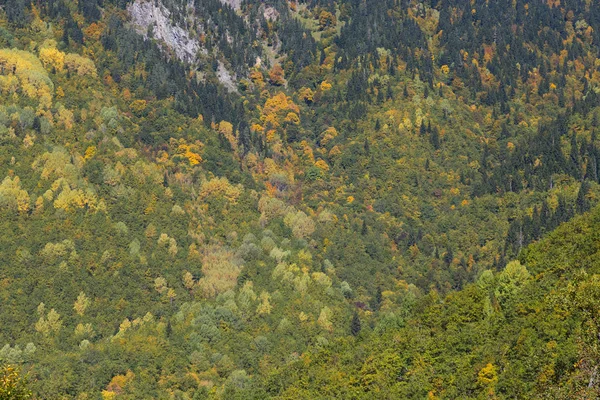 スヴァネティの美しい秋の風景にカラフルな森。Geor — ストック写真