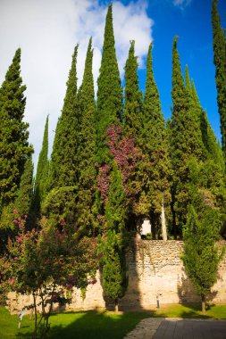 Kaheti içinde güzel sonbahar dağ manzarası. Gürcistan. Tonda