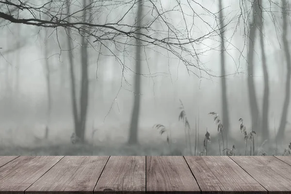 View from dark wooden gangway, table or bridge to the forest. Co — Stock Photo, Image