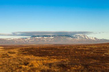 İzlanda'nın taşlık kayalık ıssız manzara