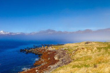 Taşlı kıyısında fiyort İzlanda'nın doğuda, çimen