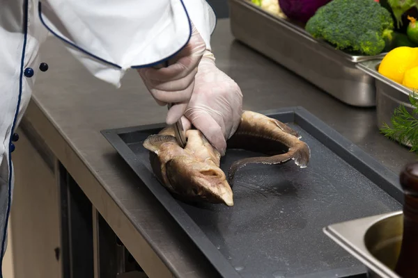Färsk fisk sterlet på ett metallbord i restaurangkök. Selec — Stockfoto
